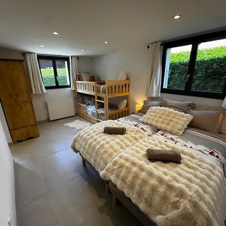 Chalet Blue House